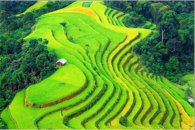 Trek Hoang Su Phi Terraced Fields & Homestay 4 days - TNK Travel