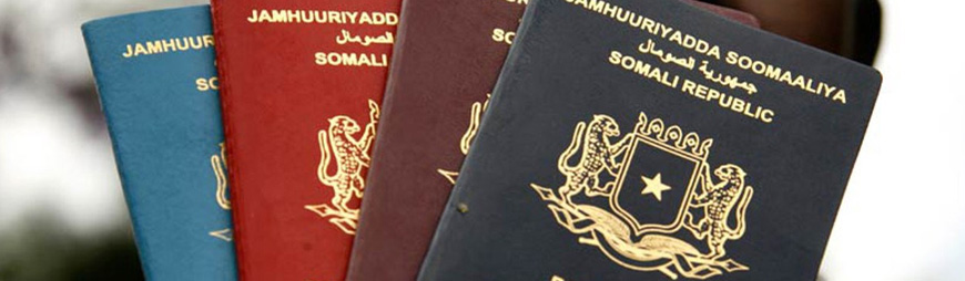 what-to-do-if-you-lose-your-passport-while-traveling-to-vietnam-tnk