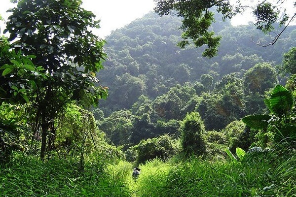 Cat Ba National Park