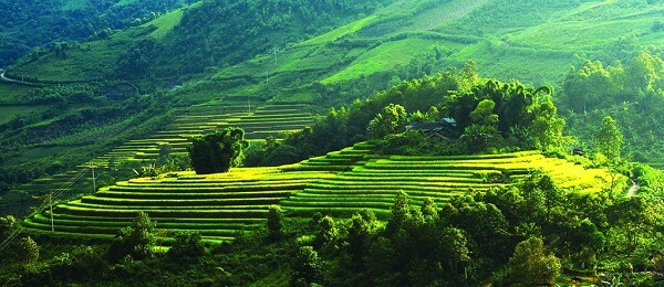 Mai Chau