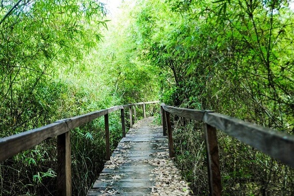 Nam Cat Tien National Park