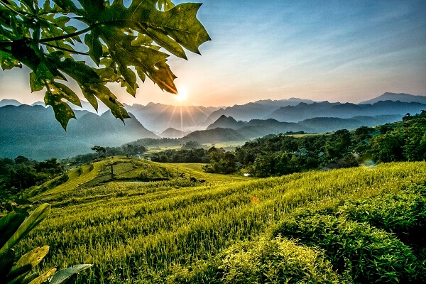 Pu Luong Nature Reserve